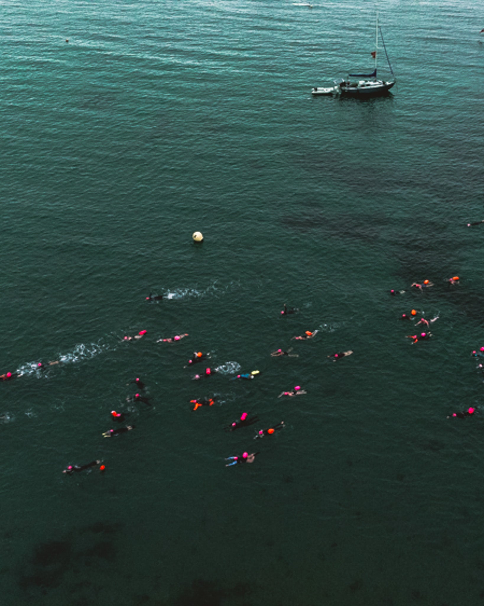 The South Coast Swim, Bournemouth